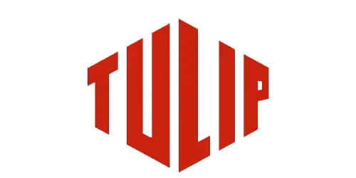 tulip